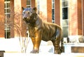 Majestic Tiger Statue at The University of Tennessee