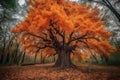 majestic tree with bright orange leaves in autumn forest