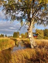 Majestic tree with a nest stands tall in the middle of a grassy field next to the river Royalty Free Stock Photo