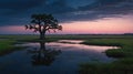 Lone Tree Reflections in Marsh at Dusk with Twilight Sky Royalty Free Stock Photo