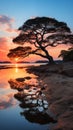 A majestic tree by the water\'s edge at sunset, with vibrant reflections on the water Royalty Free Stock Photo