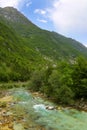 Majestic turquoise Soca river in the green forest, Bovec, Slovenia, Europe. Royalty Free Stock Photo