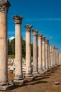 Majestic view of Agora of Ephesus from columnar road and columns, Izmir, Turkey