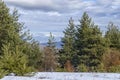 Majestic view of cloudy sky, winter mountain, snowy glade, conifer and deciduous forest from Plana mountain toward Balkan mountain Royalty Free Stock Photo