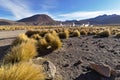 Majestic view of geysers field seen from afar just after sunris Royalty Free Stock Photo