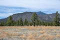 Majestic view of the mountains, with lush green grass and tall trees, Flagstaff, Arizona Royalty Free Stock Photo