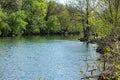 Majestic View of the Roanoke River