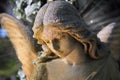 Majestic view of statue of golden angel illuminated by light against a background of dark foliage. Royalty Free Stock Photo