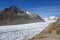 Majestic view to Aletsch glacier, the largest gracier in Alps and UNESCO herritage from Bettmeralp, Valais, Switzerland Royalty Free Stock Photo