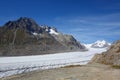 Majestic view to Aletsch glacier, the largest gracier in Alps and UNESCO herritage from Bettmeralp, Valais, Switzerland Royalty Free Stock Photo