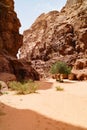 Majestic view of the Wadi Rum desert, Jordan, The Valley of the Moon. Royalty Free Stock Photo