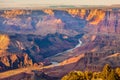 Majestic Vista of the Grand Canyon Royalty Free Stock Photo