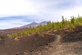 majestic volcano Teide Tenerife, view nearby from Mirador de Samara, Canary Islands Royalty Free Stock Photo