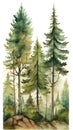 Majestic Watercolor Forest Landscape with Pine Trees and Deer.