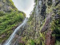 Majestic waterfall lower Cascata Risco along idyllic Levada walk 25 fountains in evergreen subtropical Laurissilva forest Royalty Free Stock Photo