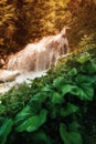 Waterfall near hiking trail in Bavarian alps. Travel nature destinations concept Royalty Free Stock Photo