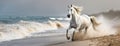 A majestic white horse gallops along the shore, ocean waves crashing behind. The powerful grace of animal on sandy beach