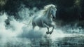 Majestic White Horse Galloping Through Misty Water Royalty Free Stock Photo