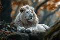 Majestic white lion rests in natural habitat, showcasing animal kingdom