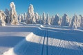 Alpine ski resort. Cross-country skiing track or trail. Sunny day. Christmas time. Happy new year celebration. Royalty Free Stock Photo