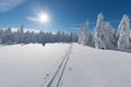 Alpine ski resort. Cross-country skiing track or trail. Sunny day. Christmas time. Happy new year celebration. Royalty Free Stock Photo