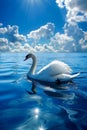 Majestic White Swan Gliding Gracefully on Serene Blue Lake with Sun Reflection and Fluffy Clouds Royalty Free Stock Photo