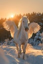 Majestic white winged horse in a snowy landscape at sunrise. Royalty Free Stock Photo