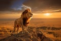 majestic wild lion at sunset, AI generated