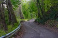 Majestic winding road in the forest