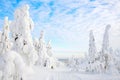 Majestic winter in Finland