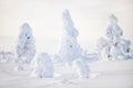 Majestic winter in Finland