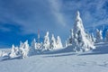 Majestic Winter Landscape Glowing by Sunlight, Dramatic Wintry Scene Location