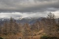 Majestic Winter landscape image view from Holme Fell in Lake District towards snow capped mountain ranges in distance in glorious