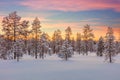 Majestic winter landscape - sundown, forest, trees and snow