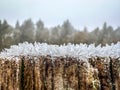 Majestic winter scene of a forest backdrop with multiple icicles lined up along the fence posts Royalty Free Stock Photo