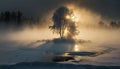 Majestic Winter Scene, A Serene Snow Covered Tree in a Forest Amidst the Morning Mist, Generative AI