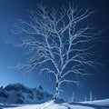 A majestic winter wonderland with a solitary snowcover Royalty Free Stock Photo