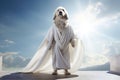 Majestic wise dog Labrador sage dressed in white long toga in temple against backdrop of mountains. Suns rays create