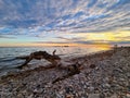 Majestic wooden log perched on a tranquil beach, with clear blue ocean water in the background.