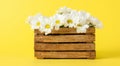 majestic wooden vase with white flowers