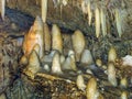 Majestic yellow-white stalagmites at the bottom of the cave, Barbados Island