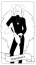 Major Arcana Tarot Cards. Temperance. Angel with appearance and clothes of young man, great wings, hair fair, pouring water from o