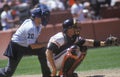 Major league catcher and umpire behind home plate Royalty Free Stock Photo