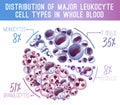 Major leukocytes types scheme Royalty Free Stock Photo