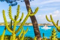 Majorca Cala Fornells beach Paguera Peguera Royalty Free Stock Photo