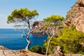 Majorca island, Spain Royalty Free Stock Photo