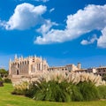 Majorca Palma Cathedral Seu Seo of Mallorca Royalty Free Stock Photo