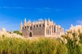 Majorca Palma Cathedral Seu Seo of Mallorca Royalty Free Stock Photo