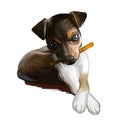 Majorca ratter puppy watercolor portrait closeup digital art. Pet domestic animal mammal playing with long stick, originated from