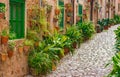 Beautiful plants flowers alley with rustic houses in Valldemossa village, Majorca Spain Royalty Free Stock Photo
